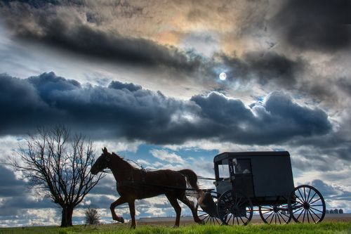 Amish Buggy Silhouette