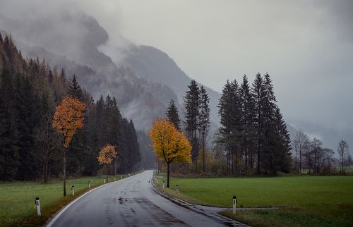 Осенние зарисовки