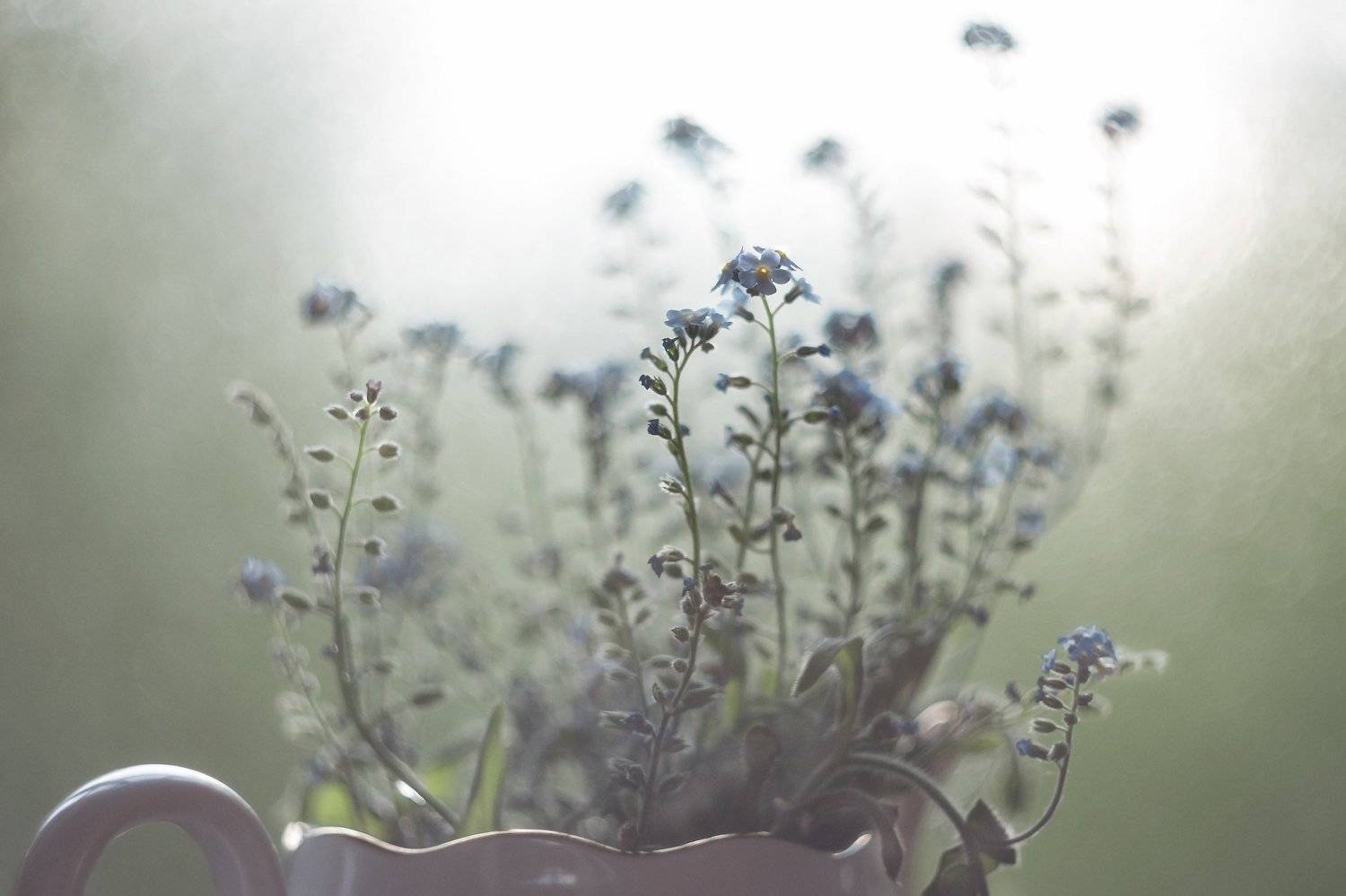 , Ирина Горюкина