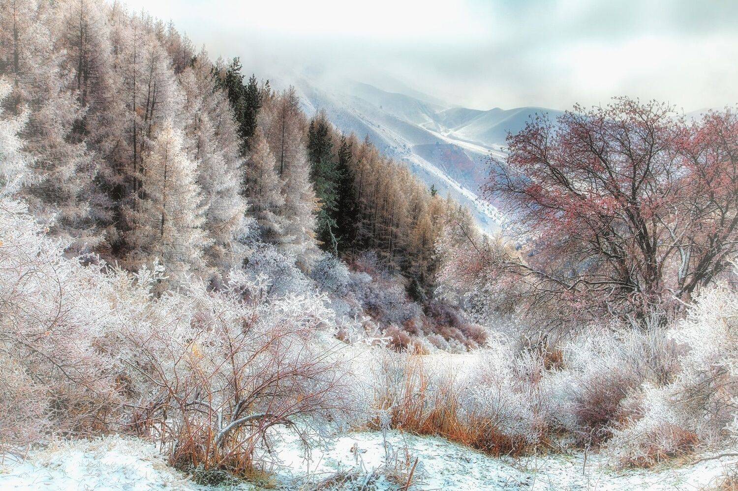 кыргызстан, горы, Элина Магалимова