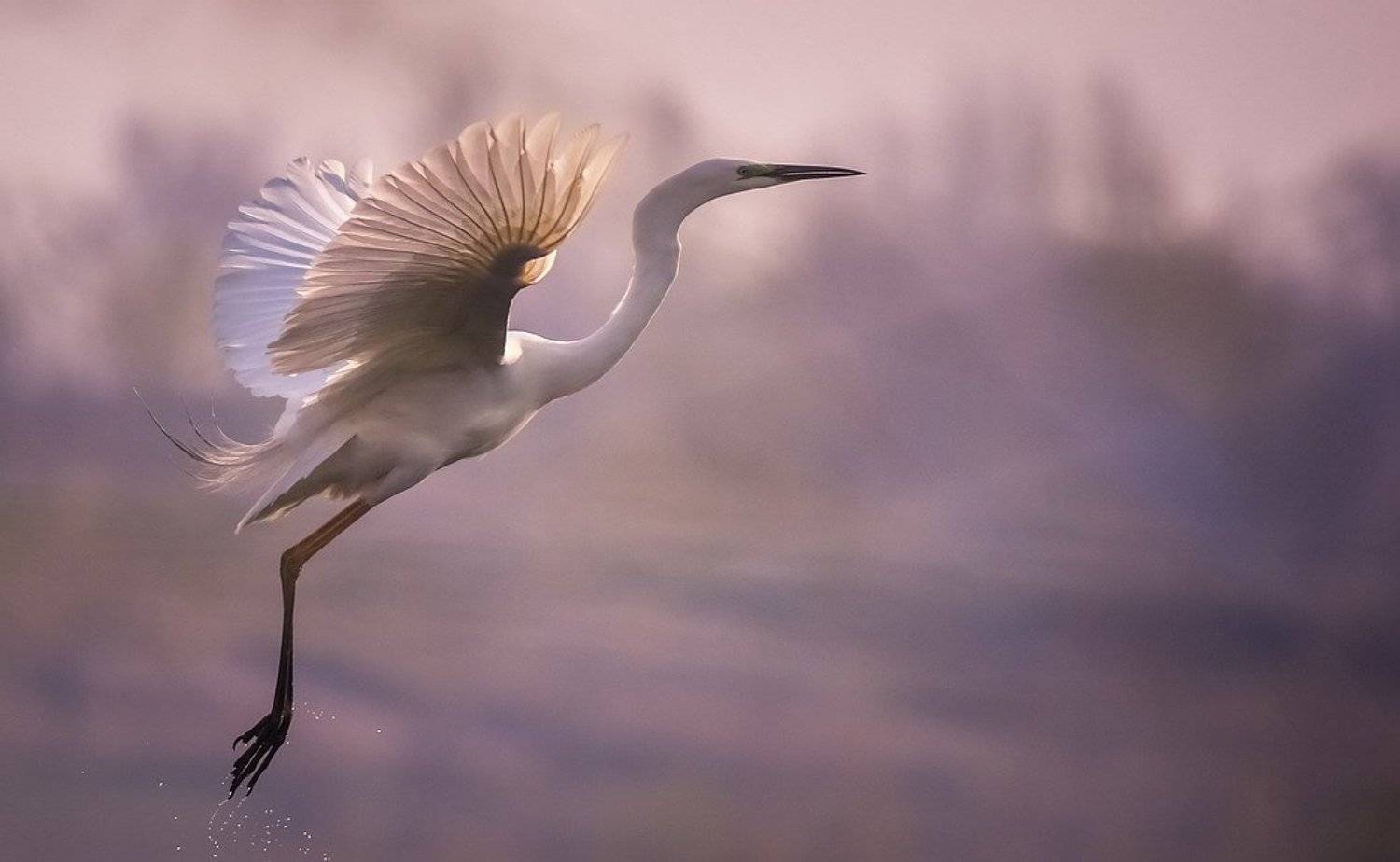 , Вячеслав Мищенко