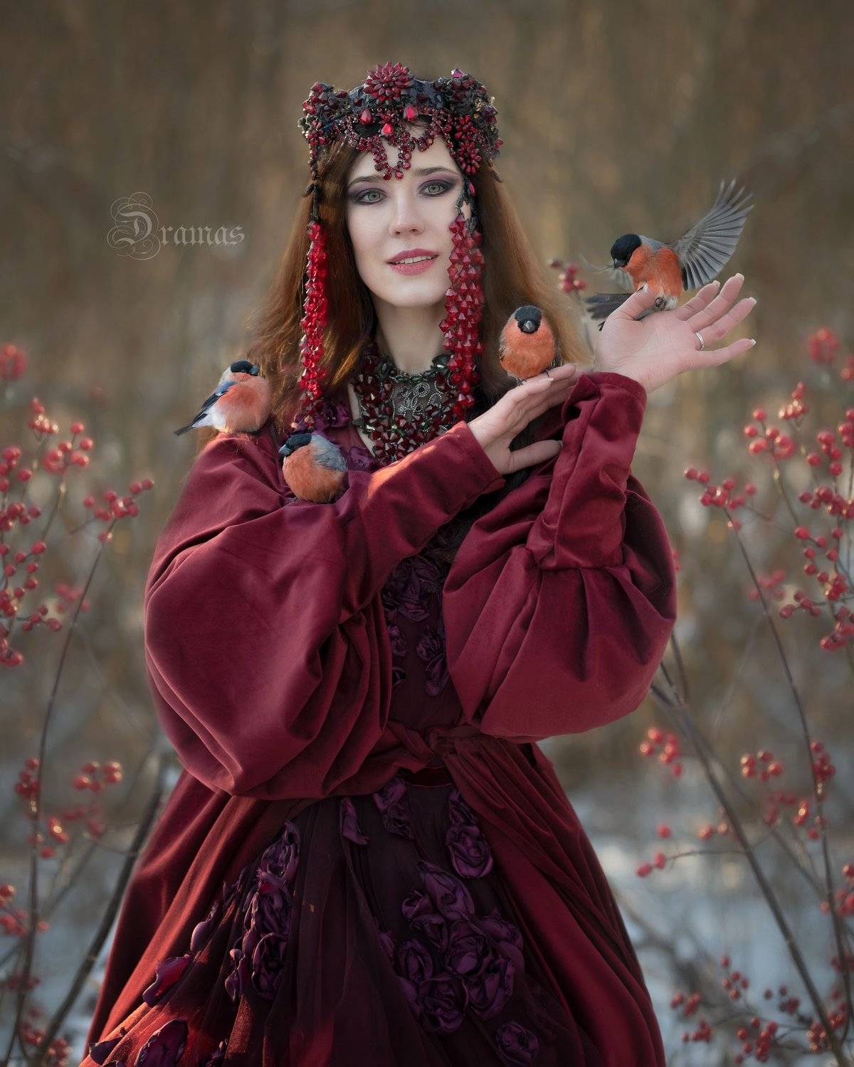 артфото, фотографмосква, рябина, художественнаяфотография, съемкасживотными, снегири, зима, калина, ягоды, красный, Evgeniya Fedorova