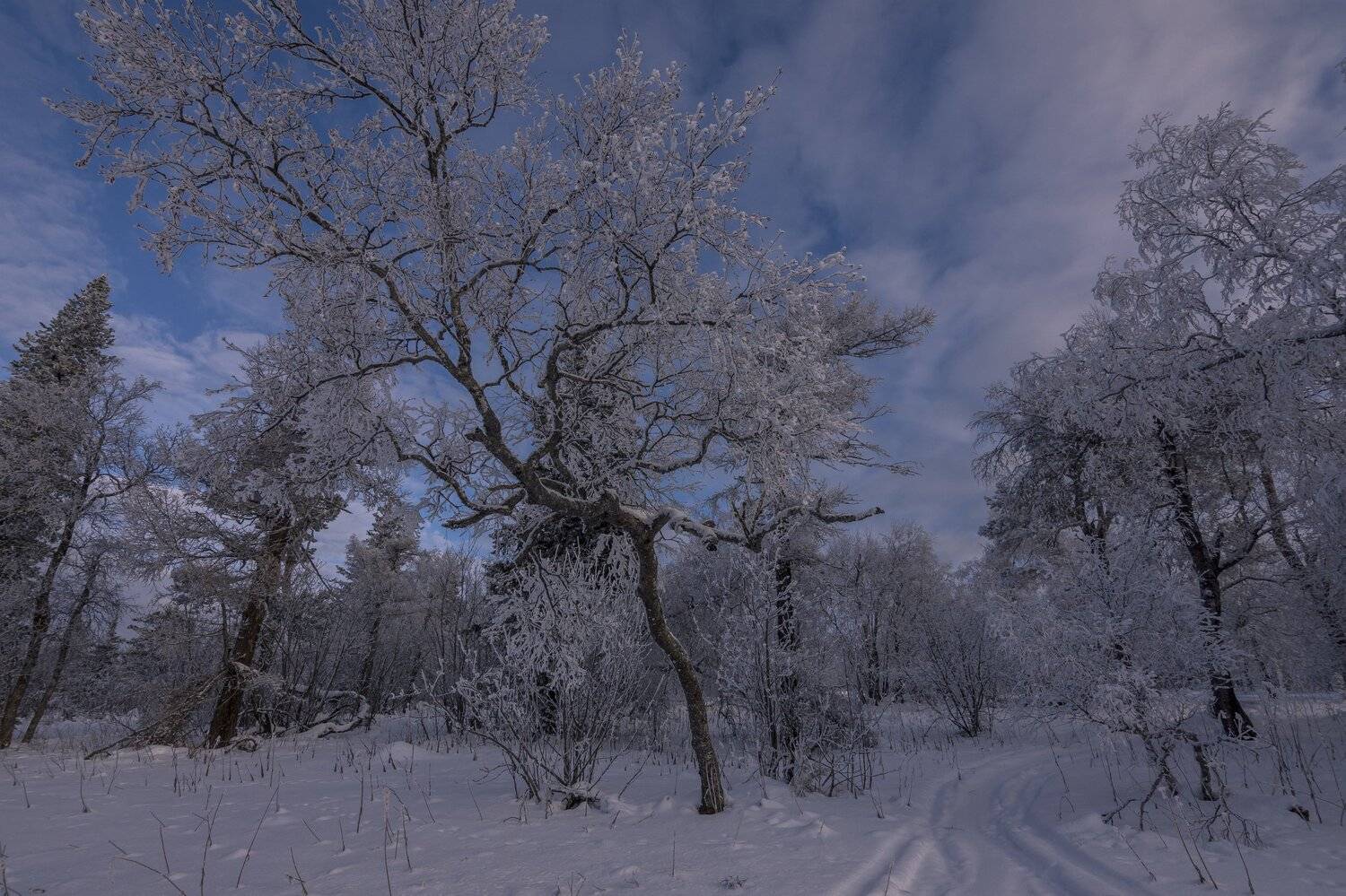 , Андрей Шарапов