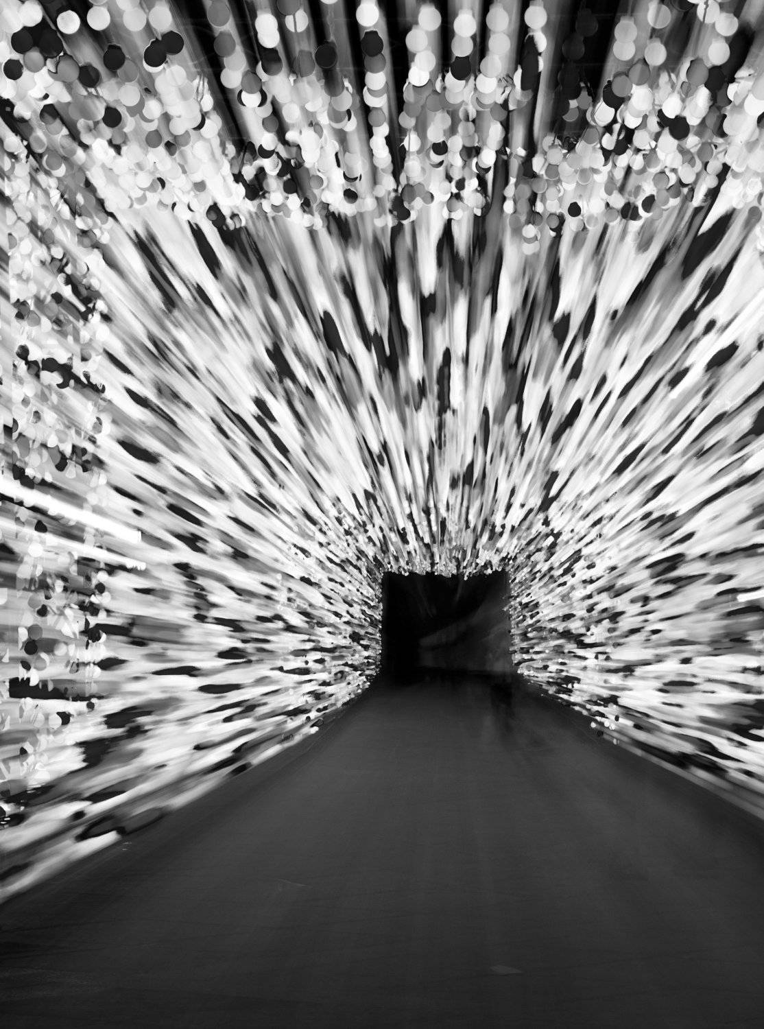 , Farshad Yazdankhah