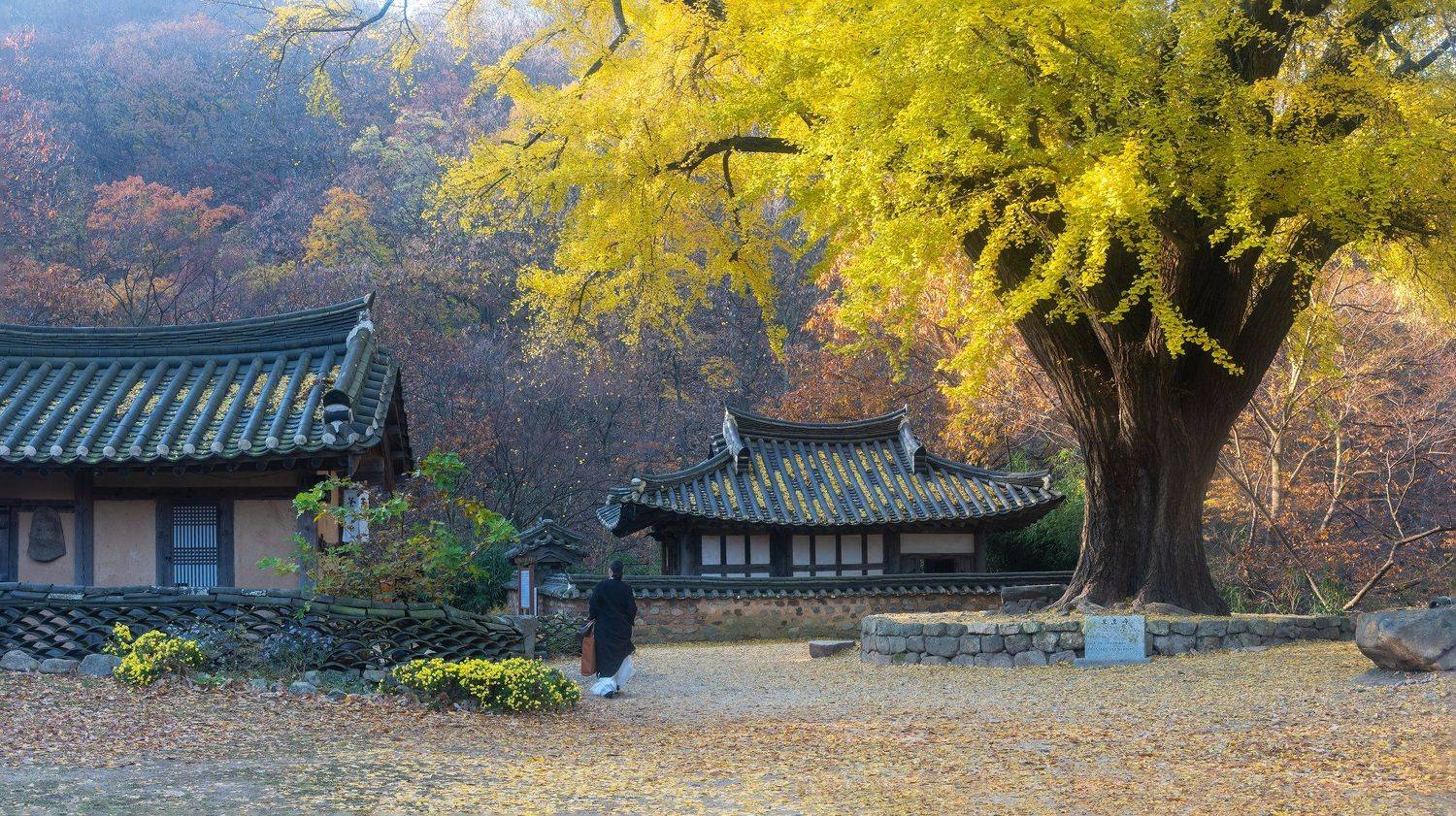 , Jaeyoun Ryu