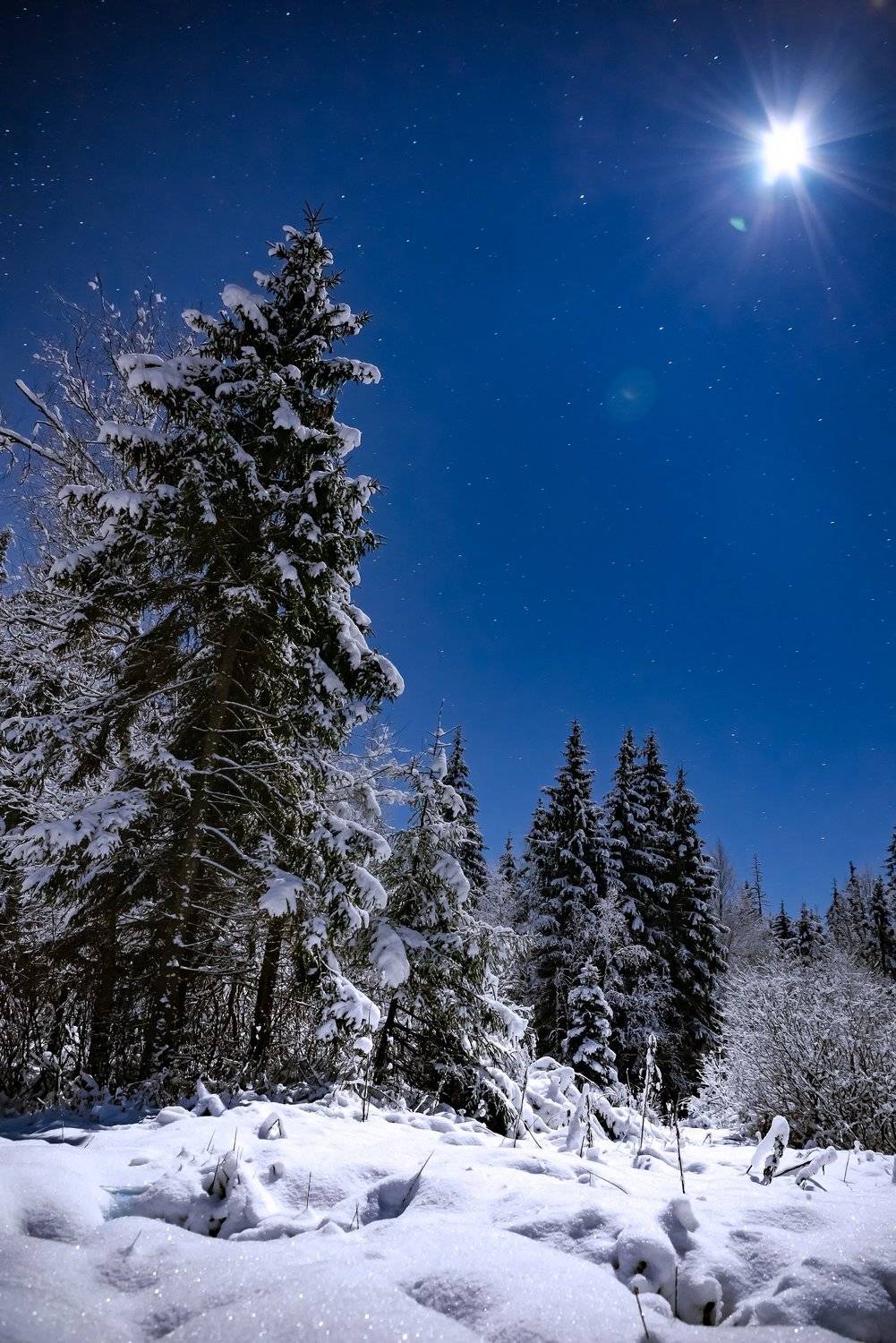 , Руслан Авдевич