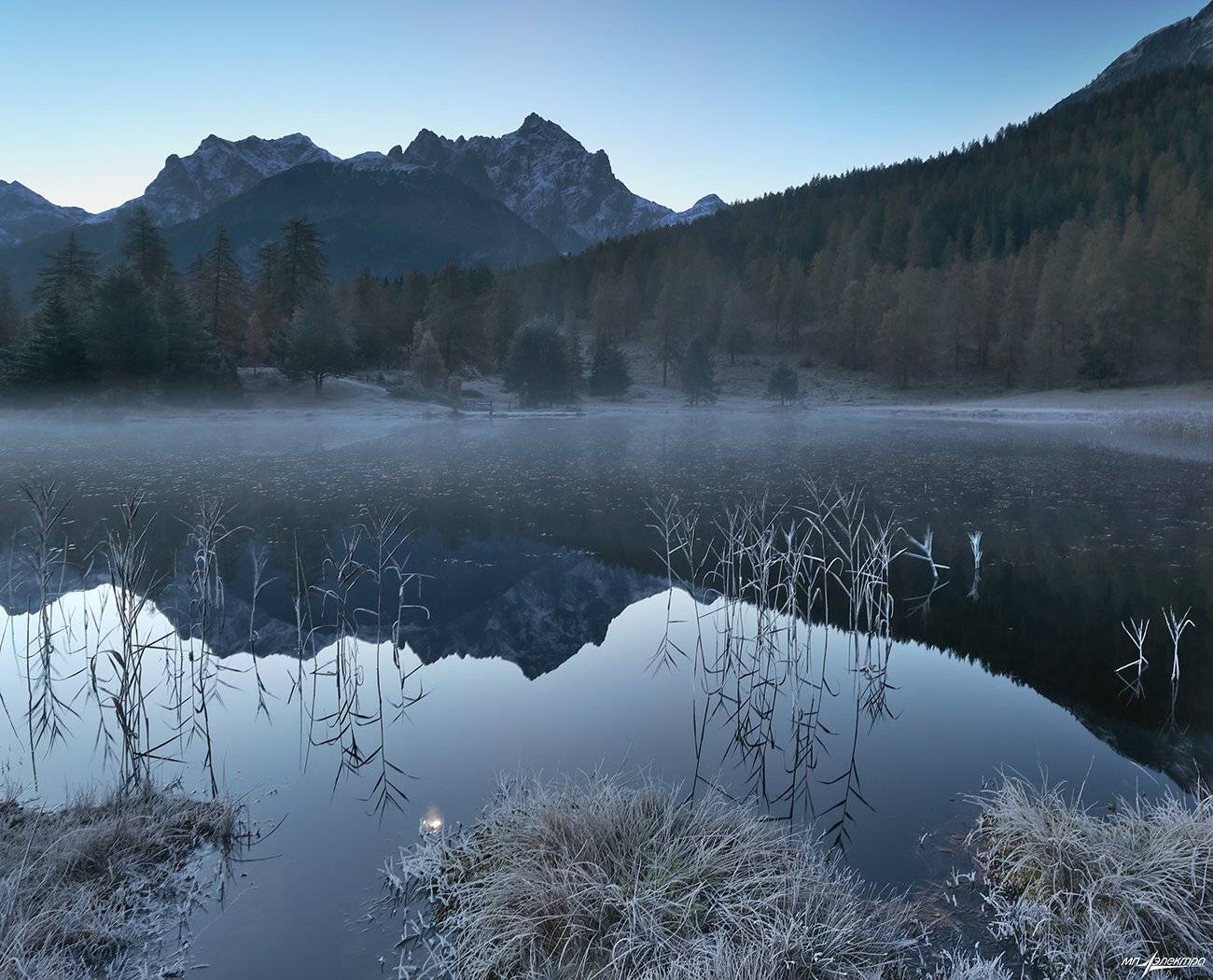 swiss, Матвеев Николай