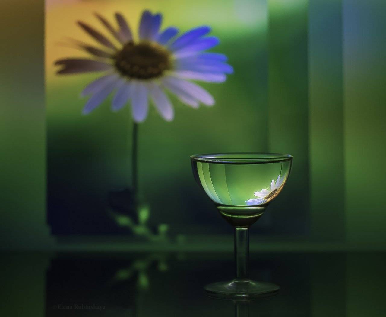 , Елена Рубинская