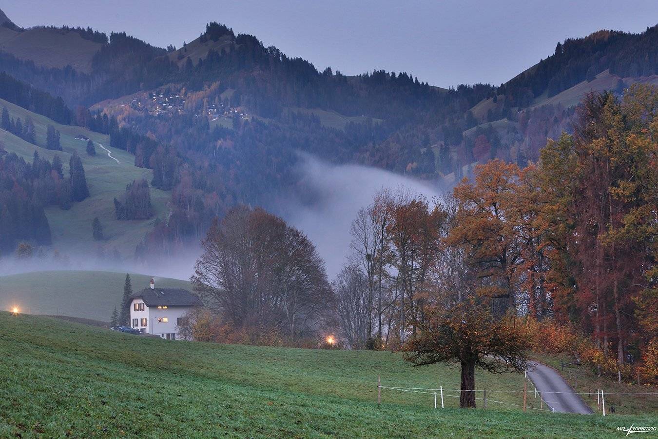 swiss, Матвеев Николай