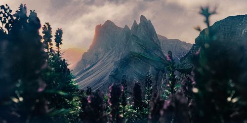 Dream of Seceda
