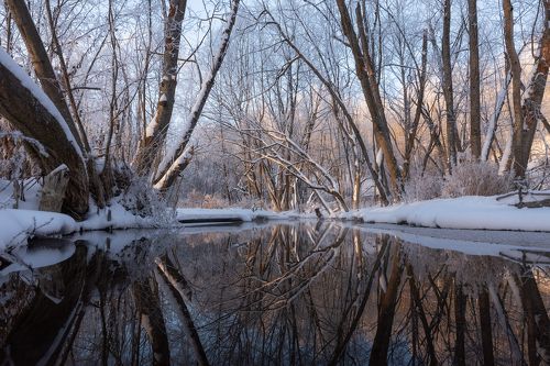 Леденящее зазеркалье