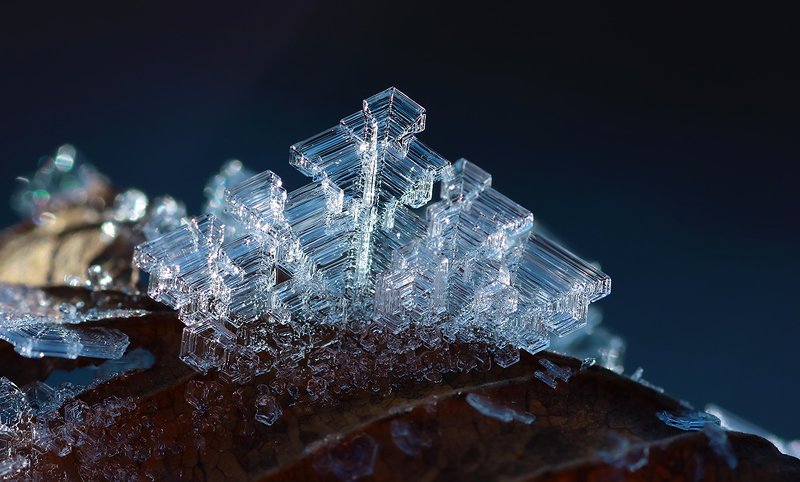 Кристаллы инея. фото превью
