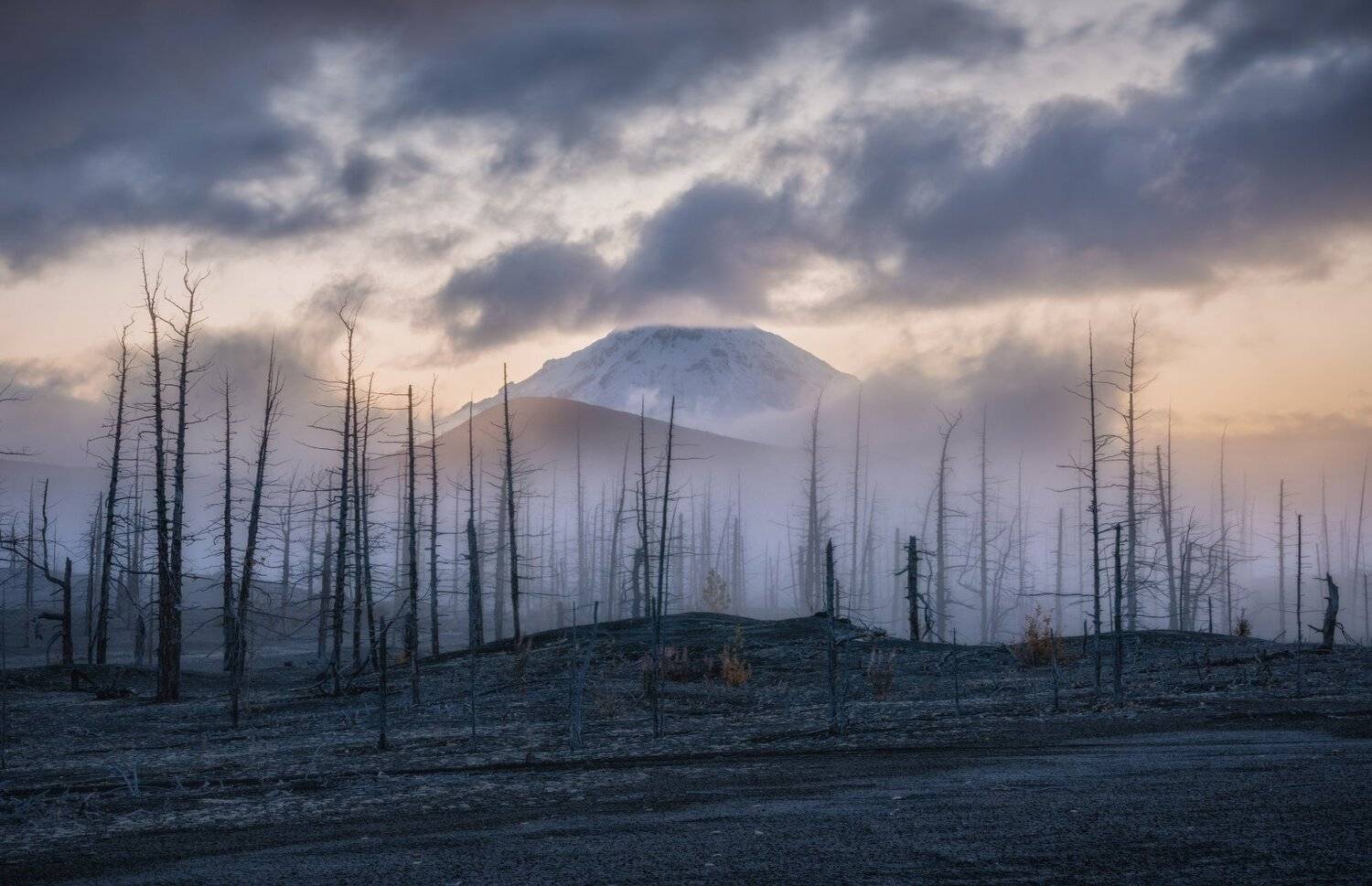 камчатка, Андрей Грачев