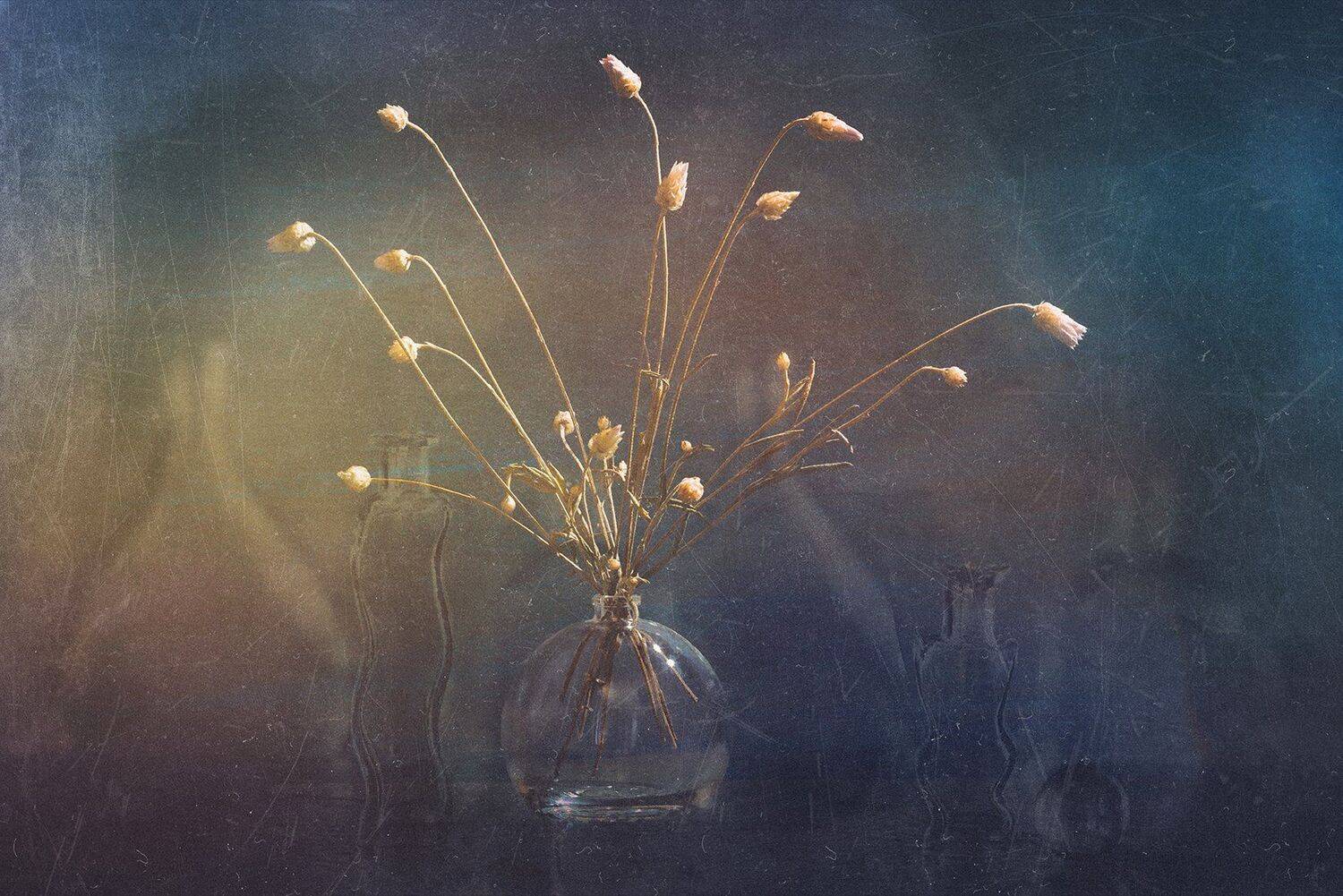 , MVO (Марк Орлов)