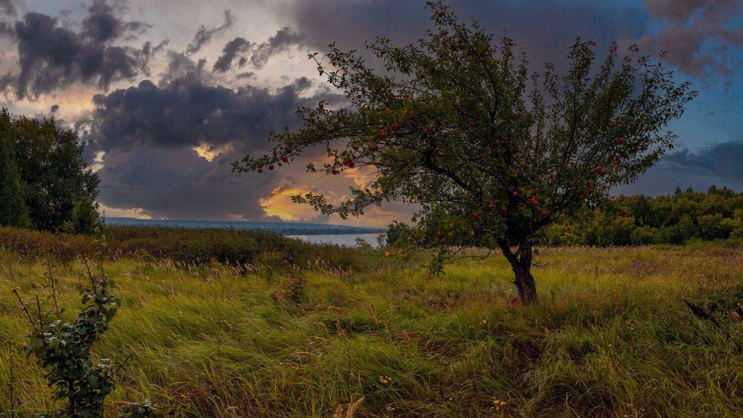, Марат Кучкаев