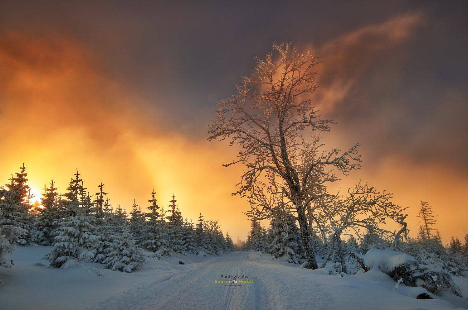 Karkonosze, mountains, clouds, sunrise, sunset, forest, tree, landscape,, Roman Hudzik