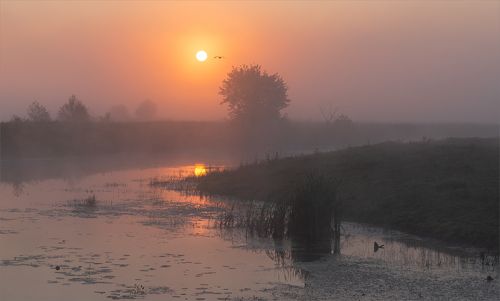 dawn on the oxbows...