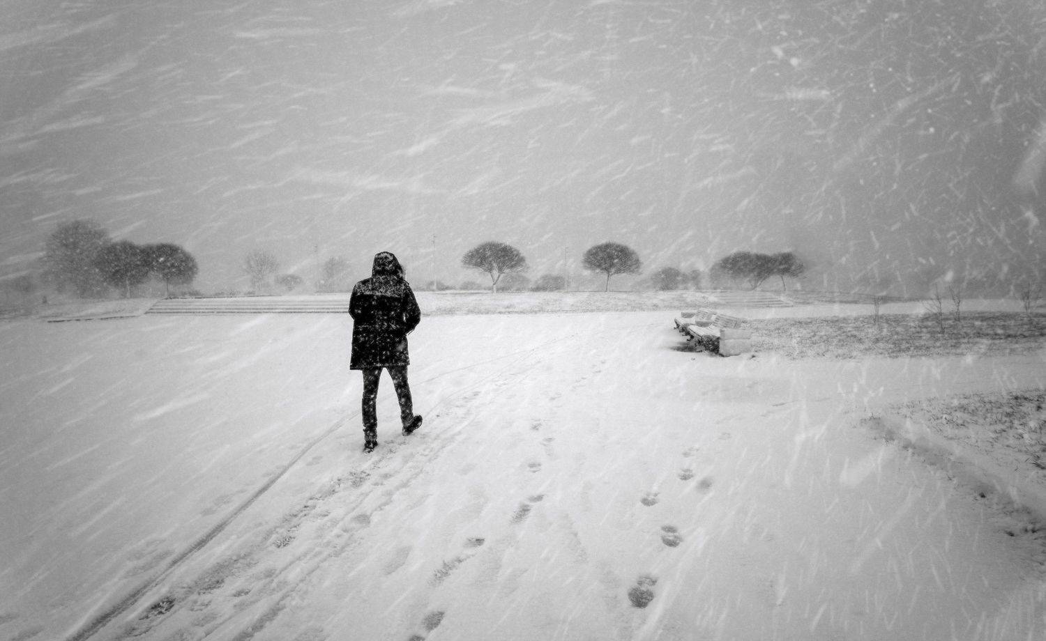 город,зима,метель,человек,снегопад,парк, Тамара