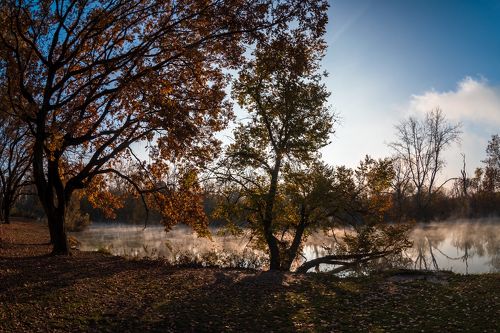 Вечерний туман