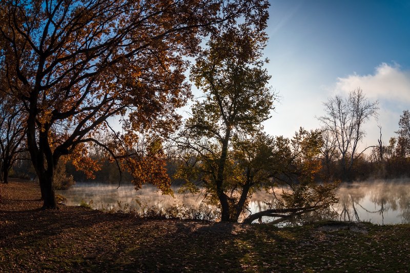 Вечерний туман фото превью