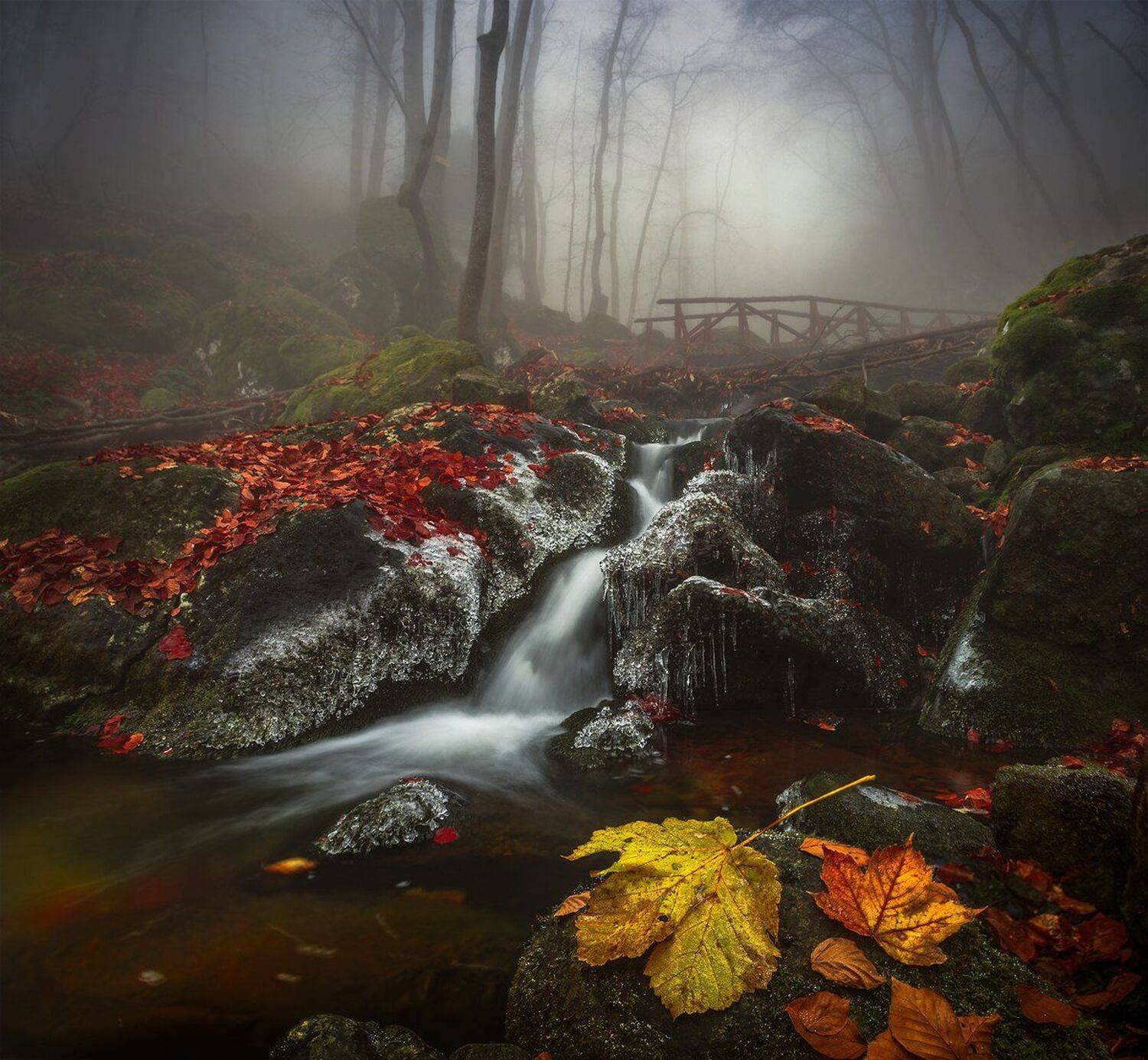 landscape nature scenery forest wood autumn mist misty fog foggy river waterfall colors mountain vitosha bulgaria туман лес, Александър Александров