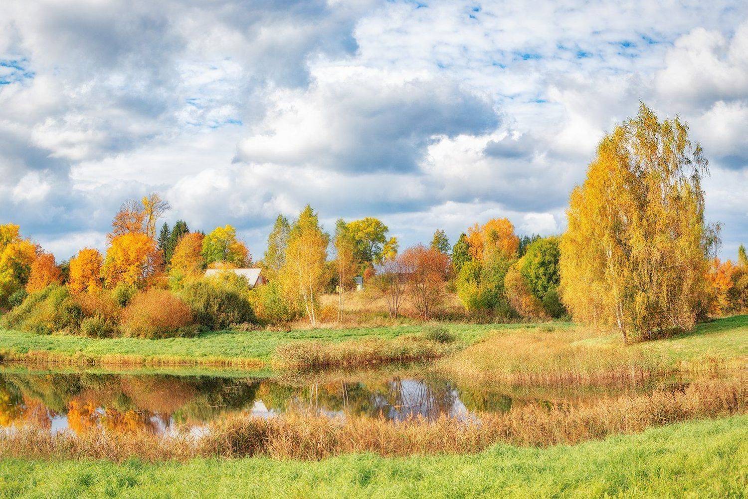 петровское, пушкинские горы, осень, пушкинские места, Владимир Липецких