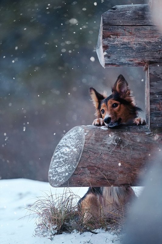 фото превью