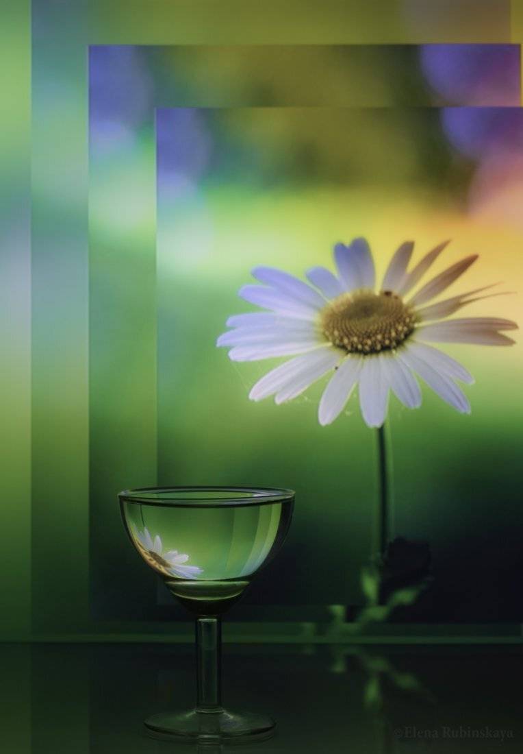 , Елена Рубинская