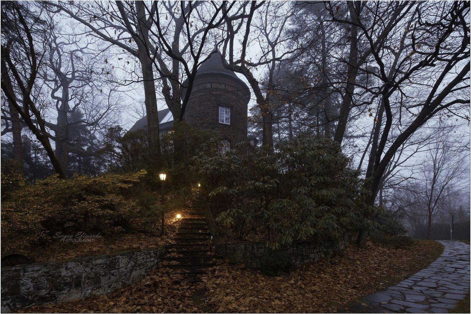 misty bronx newyork, Sergei Efimenko