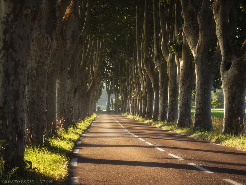 Утро в Провансе (фототур) фото превью