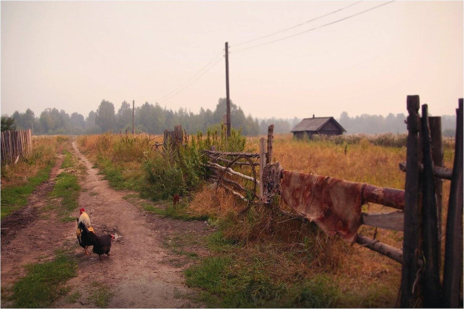 , Сергей Никсон