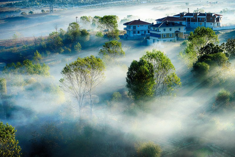 morning awakening of the city фото превью