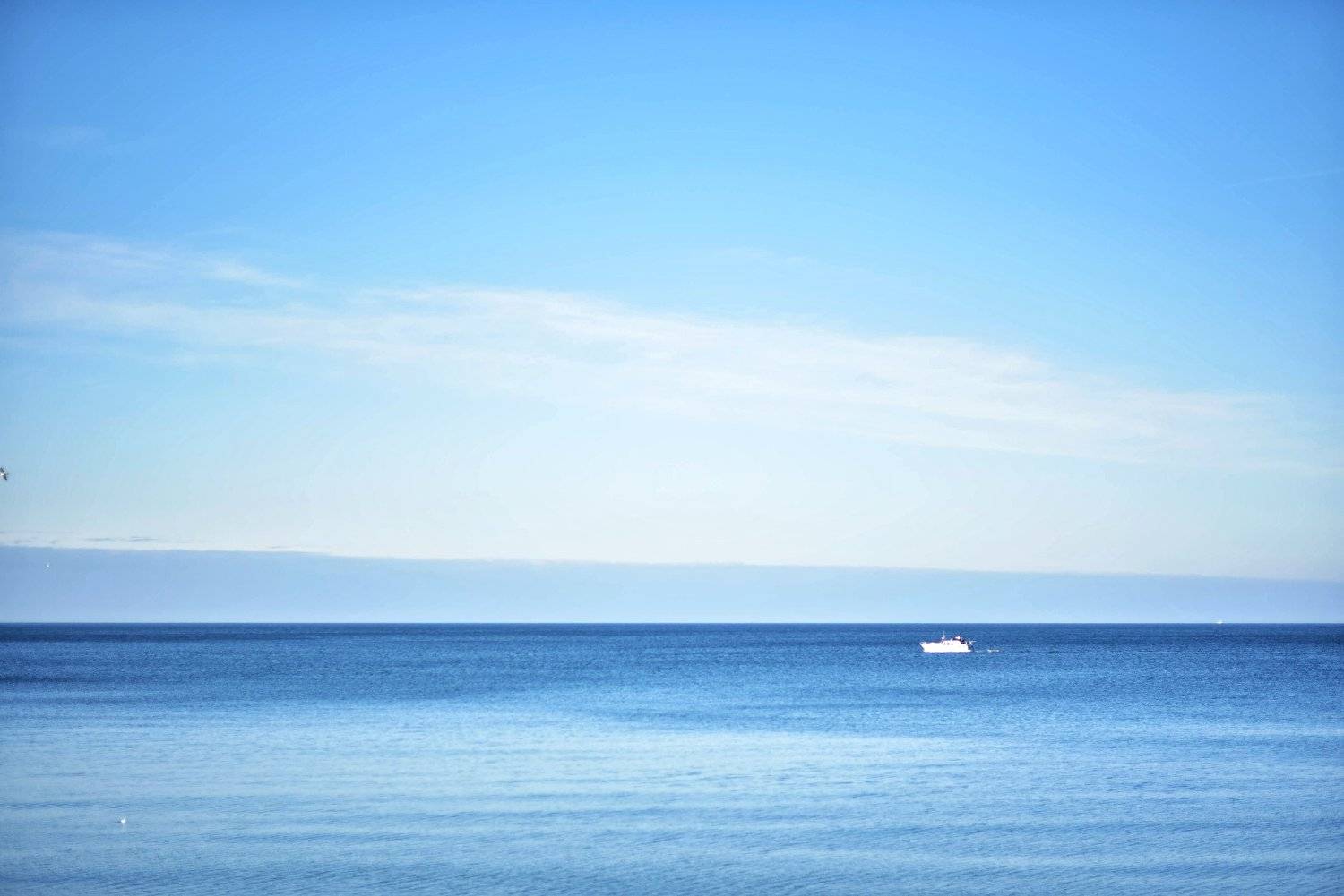 , Владимир Леликов-Кузьменко