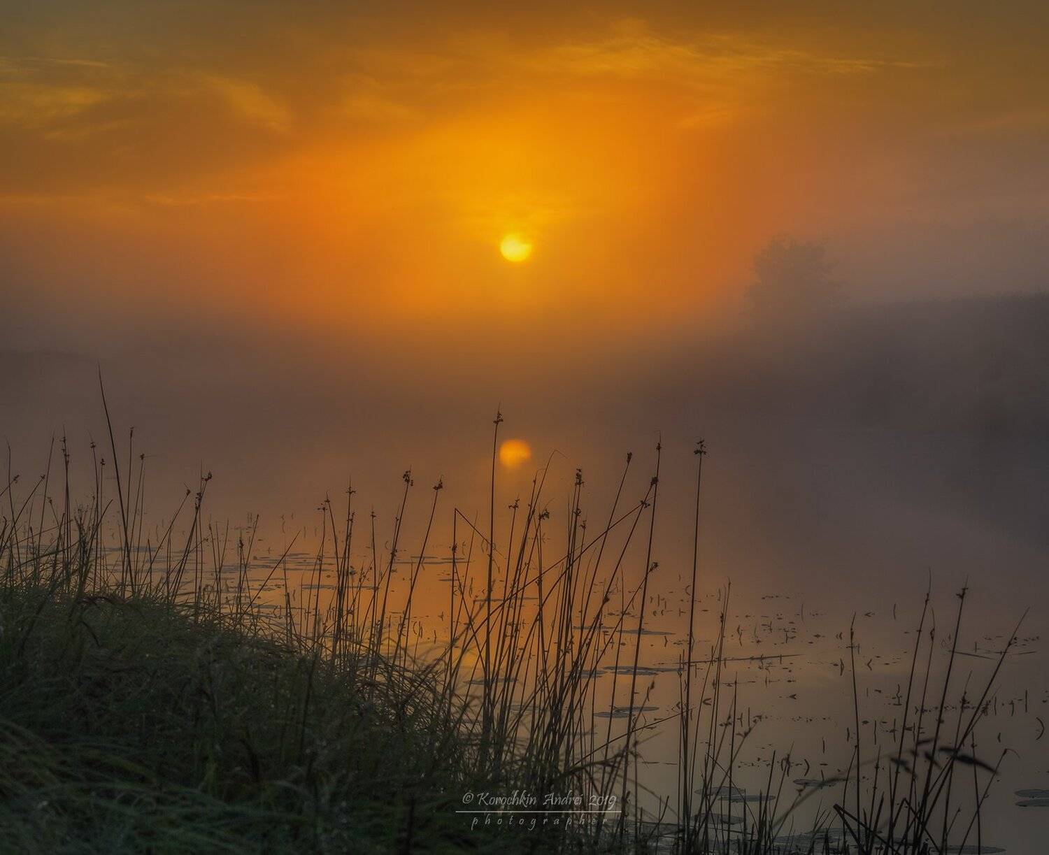 , Андрей Корочкин