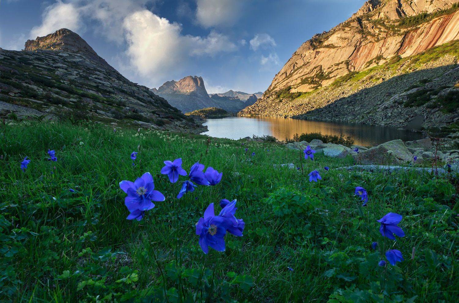 ергаки, саяны, западный саян, горных духов, озеро, долина, лето, водосбор, аквилегия, Виктор Зайцев