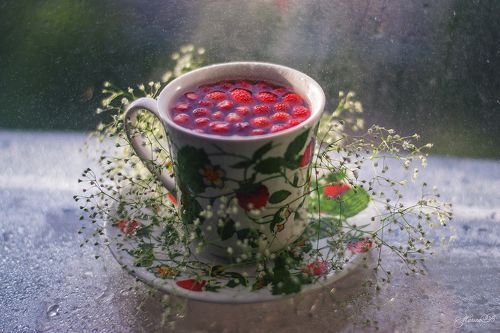 Земляничный привет от лета