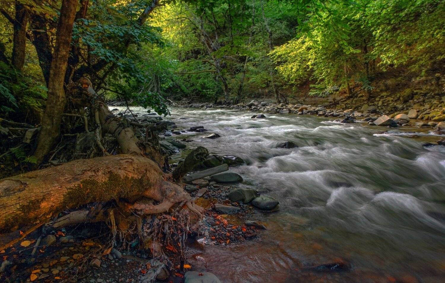 река,улучай,горы,вершины,пейзаж,небо,деревья,дагестан,природа, Marat Magov