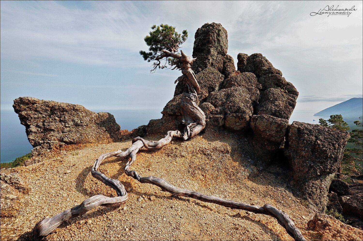байкал, Александр Леснянский