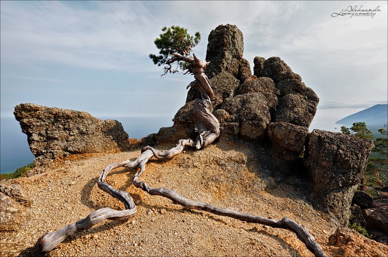 байкал В засаде фото превью