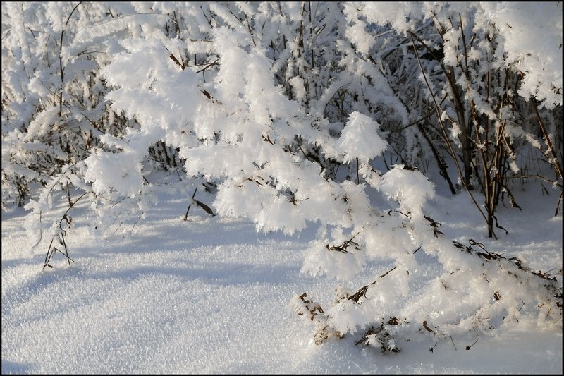 Зимняя нежность фото превью