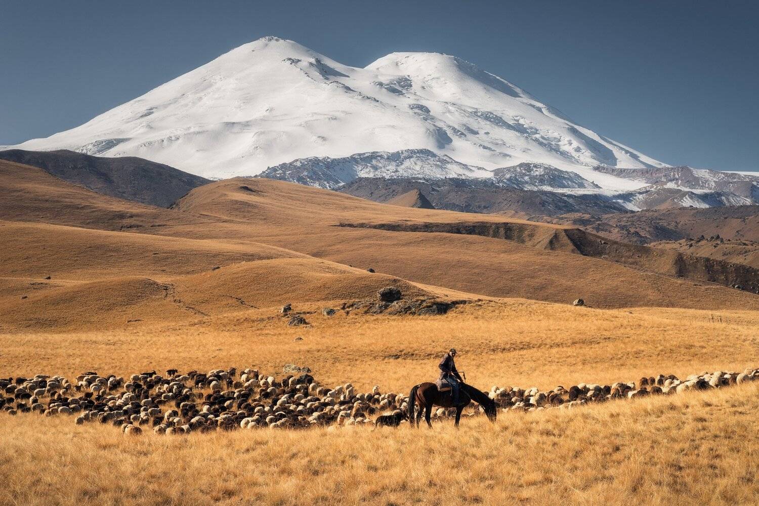 , Михаил Туркеев