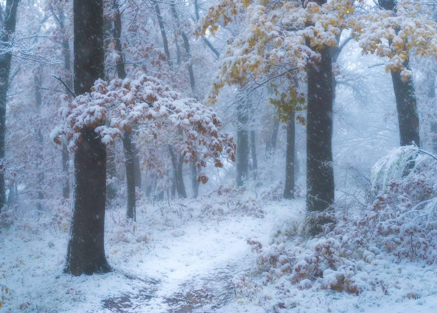 , Александр Орнатский