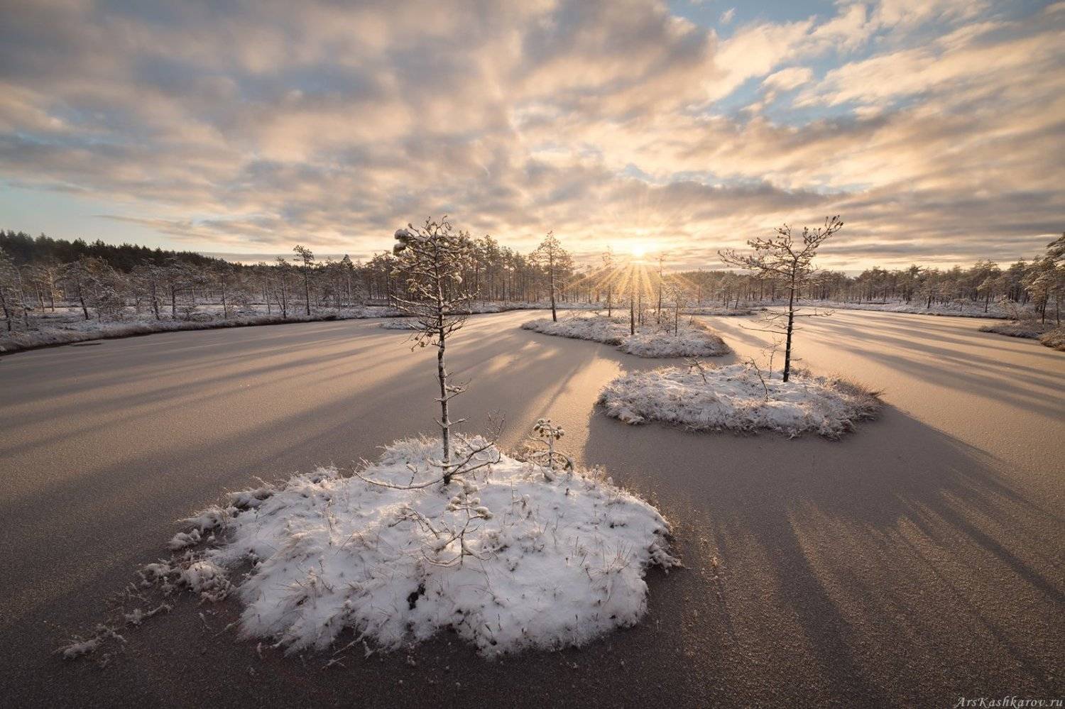 болото, ленобласть, фототур, зимний пейзаж, ленинградская область, первый снег, Арсений Кашкаров