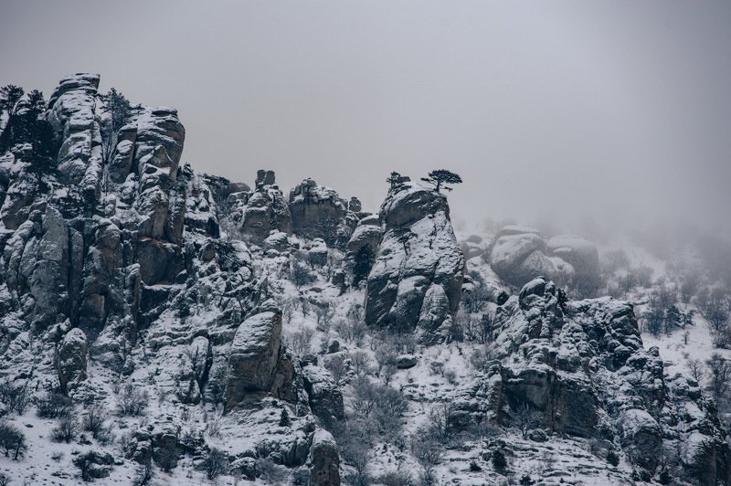 _ фото превью