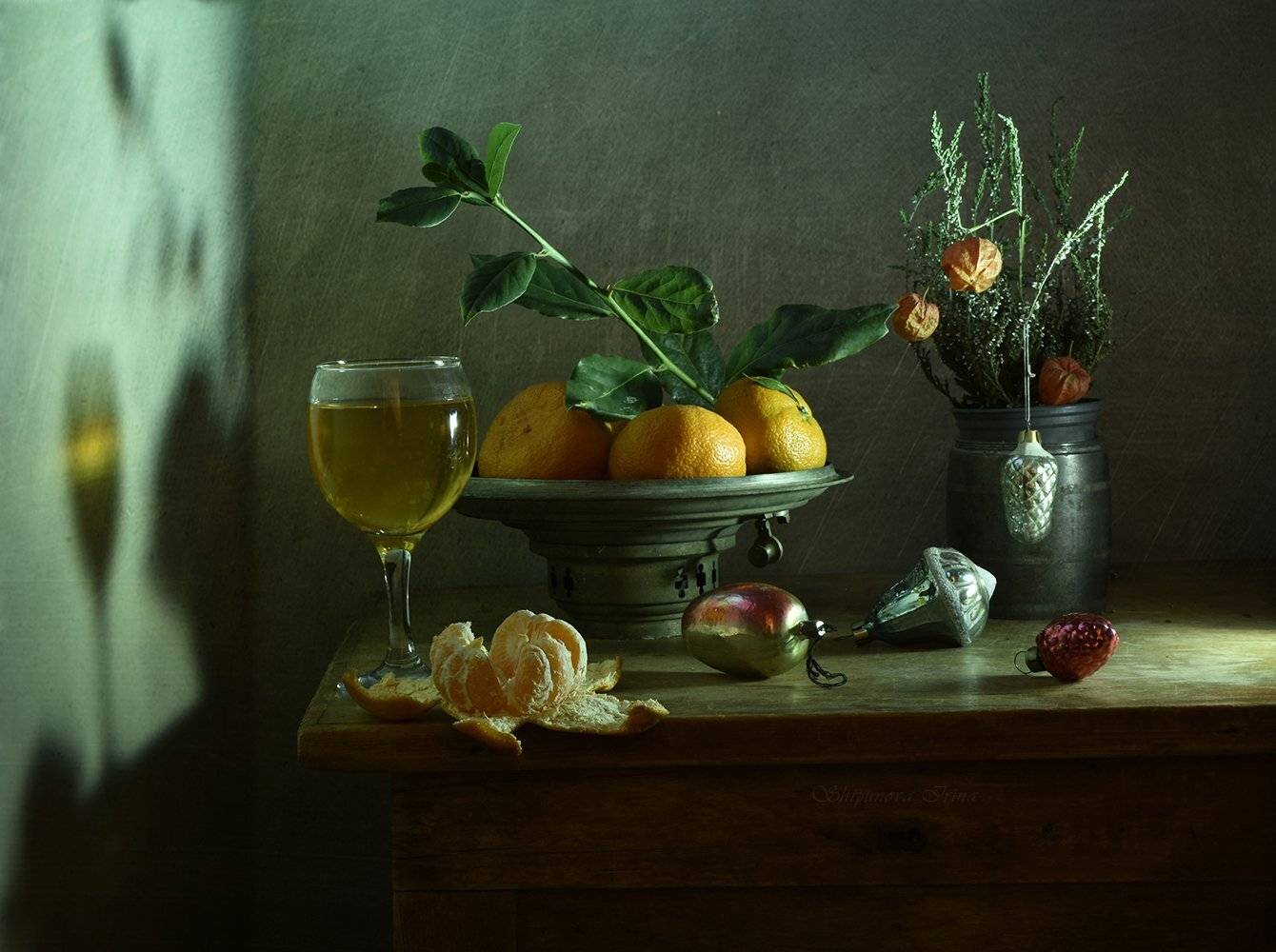 , Шипунова Ирина