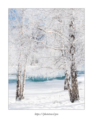 Алтайские сюжеты