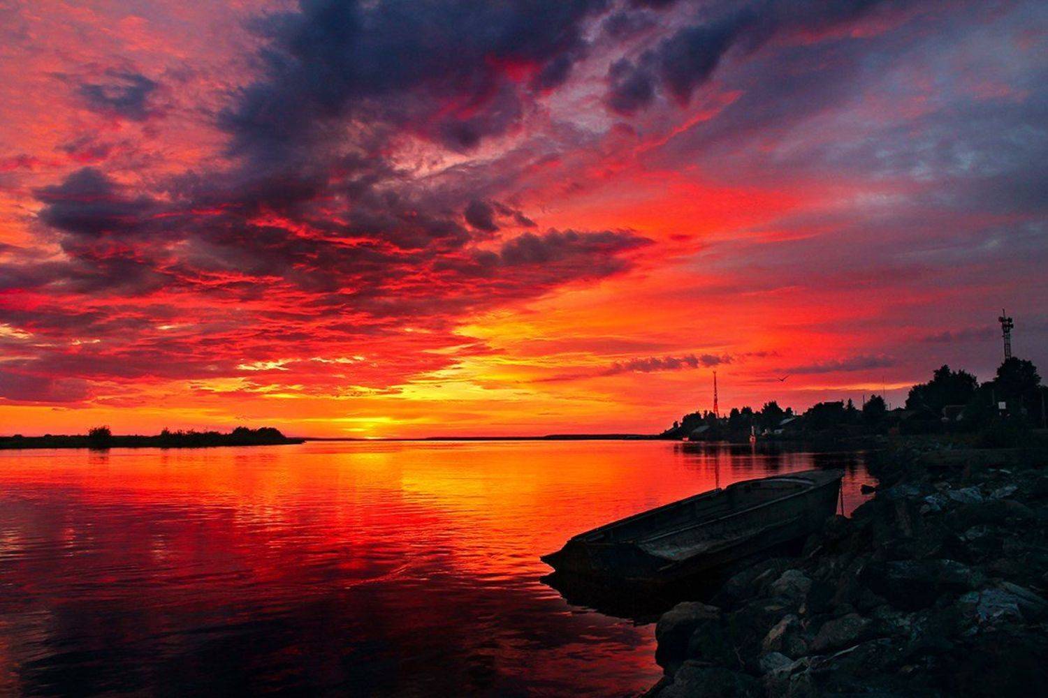 , Алёна Сурнина