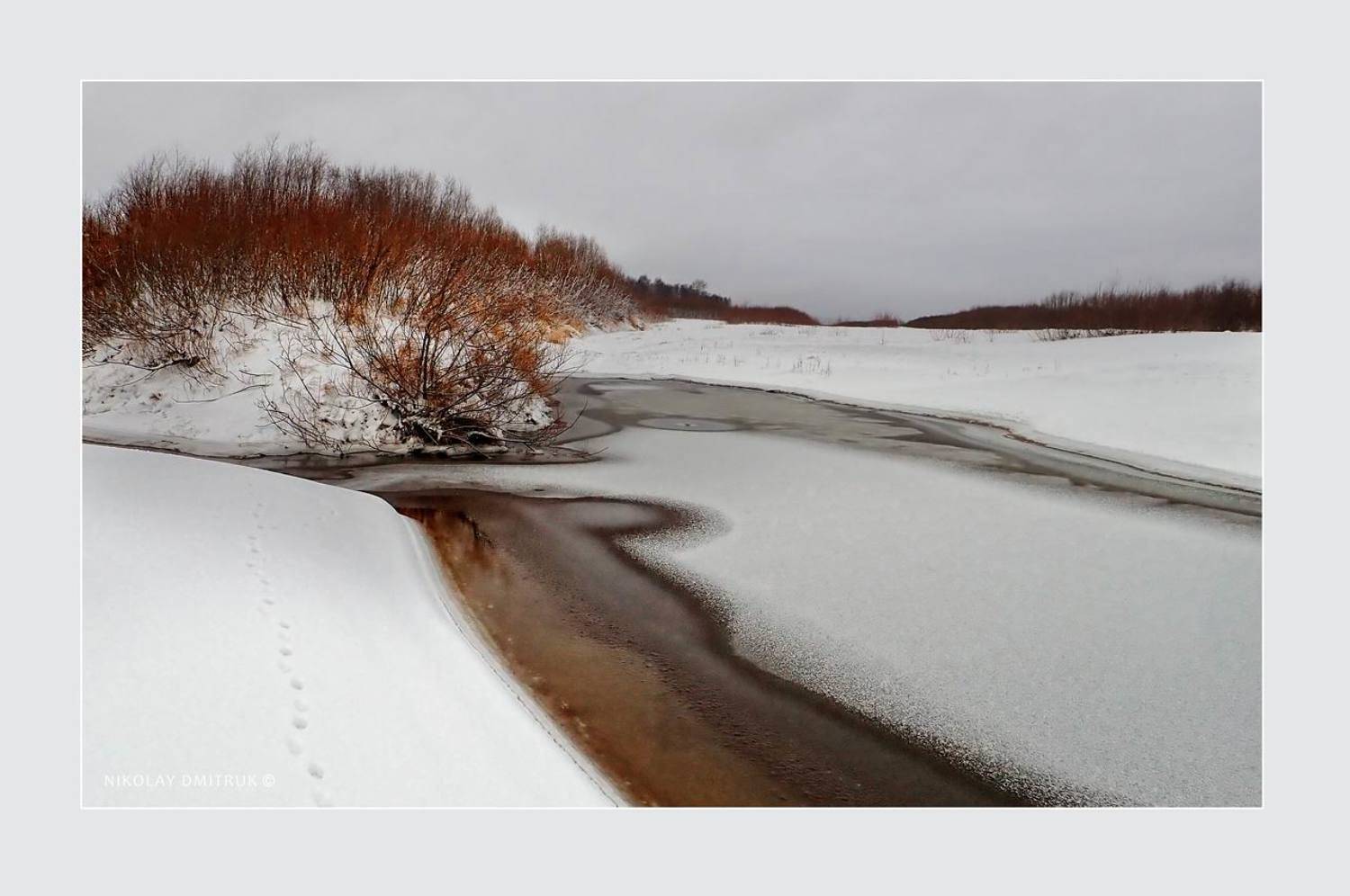 пейзаж, николай дмитрук