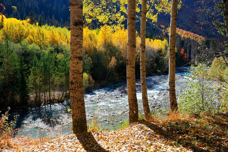 домбай, кчр, тебердп, горы, гоначхир,  фото превью