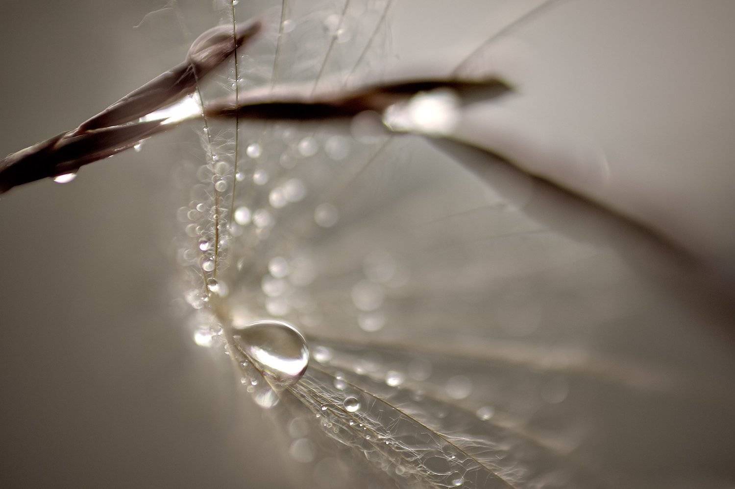 , Нурият Аллаярова